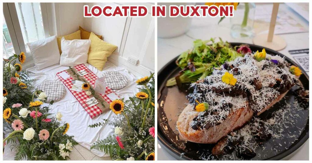 THE SECRET PATIO INDOOR PICNIC SINGAPORE