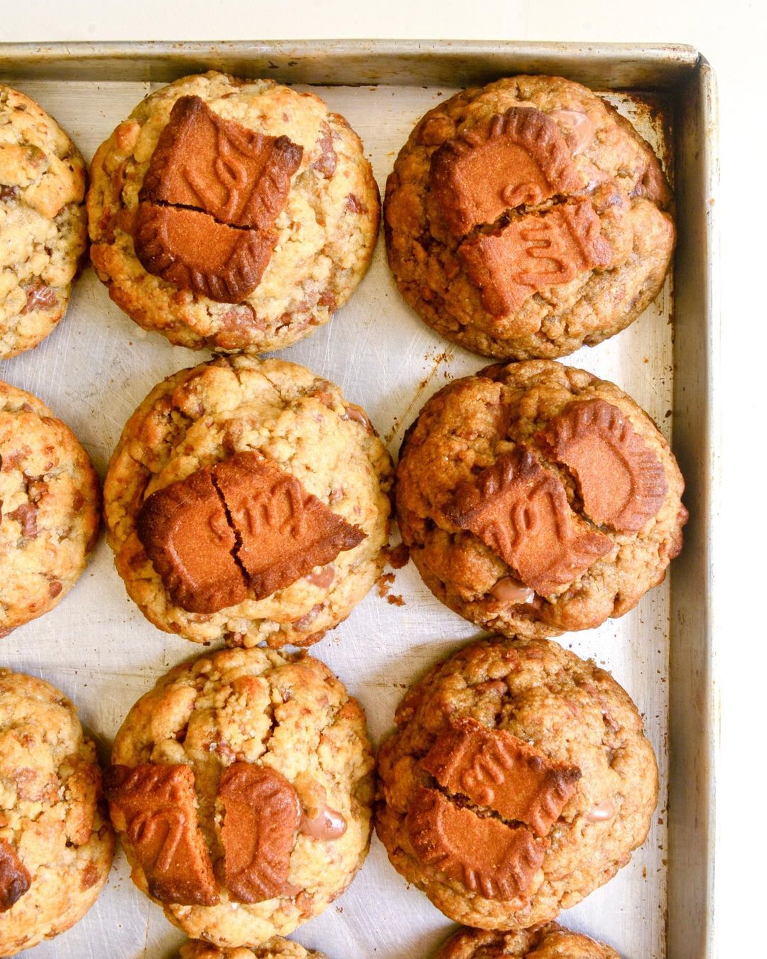 for fudge sake - biscoff cookies