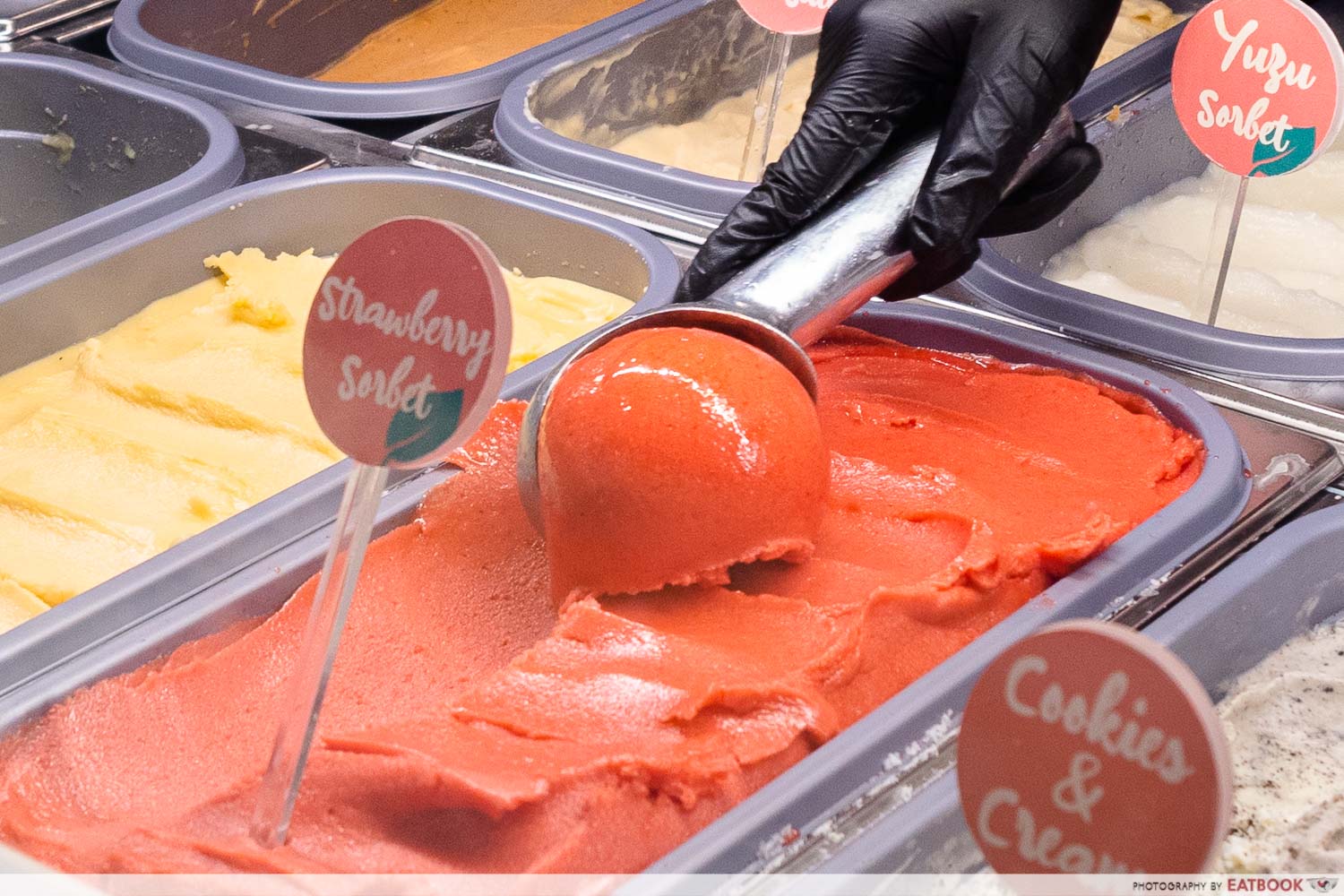 softhaus - scooping ice cream