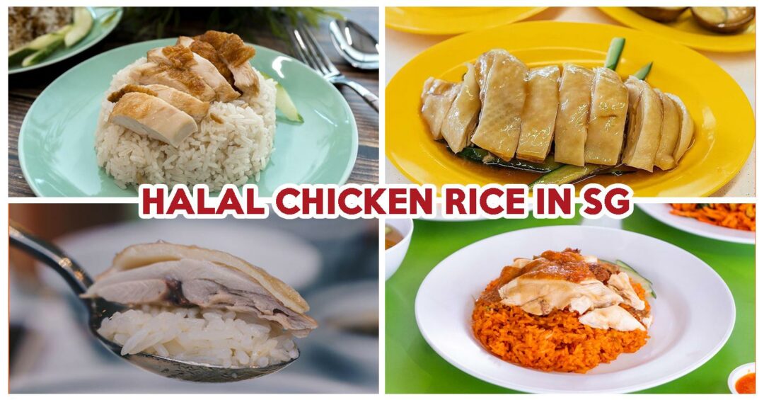 HALAL CHICKEN RICE COVER