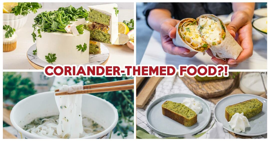 coriander dishes cover image