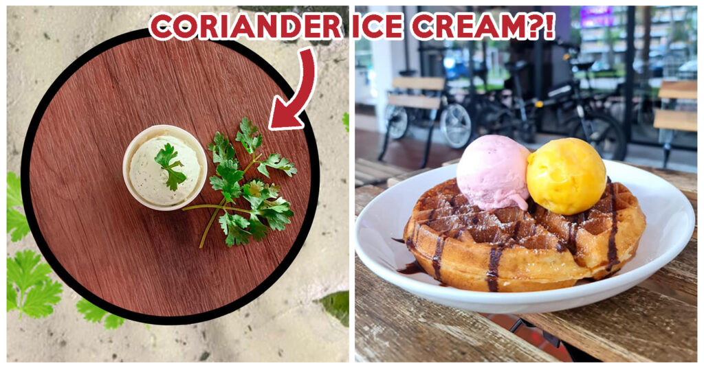 coriander gelato lofi bar