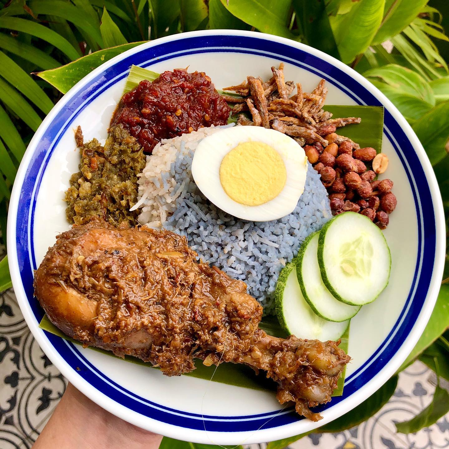 nasi lemak