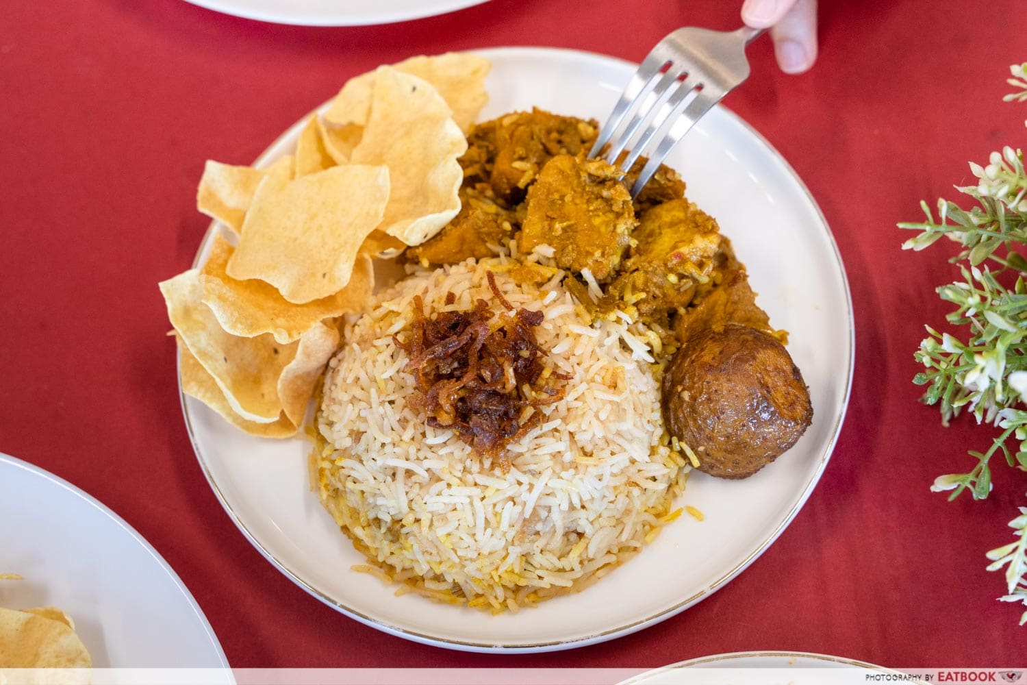 pacquetz - intro shot of tofu briyani