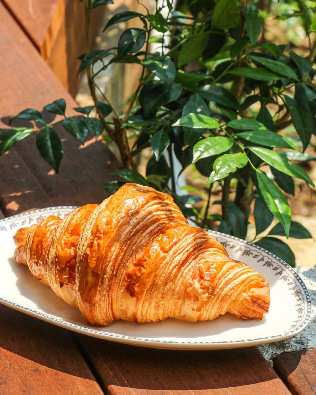 tiong bahru bakery - signature croissant