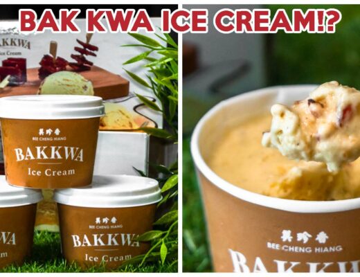 bee cheng hiang bakkwa ice cream cover
