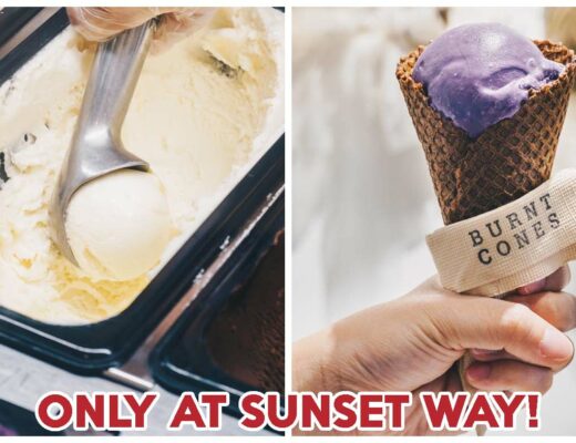 burnt cones cover