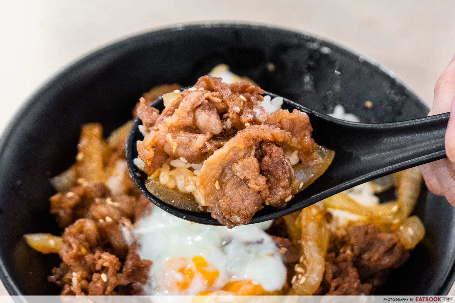 mikuriya pork belly donburi detail