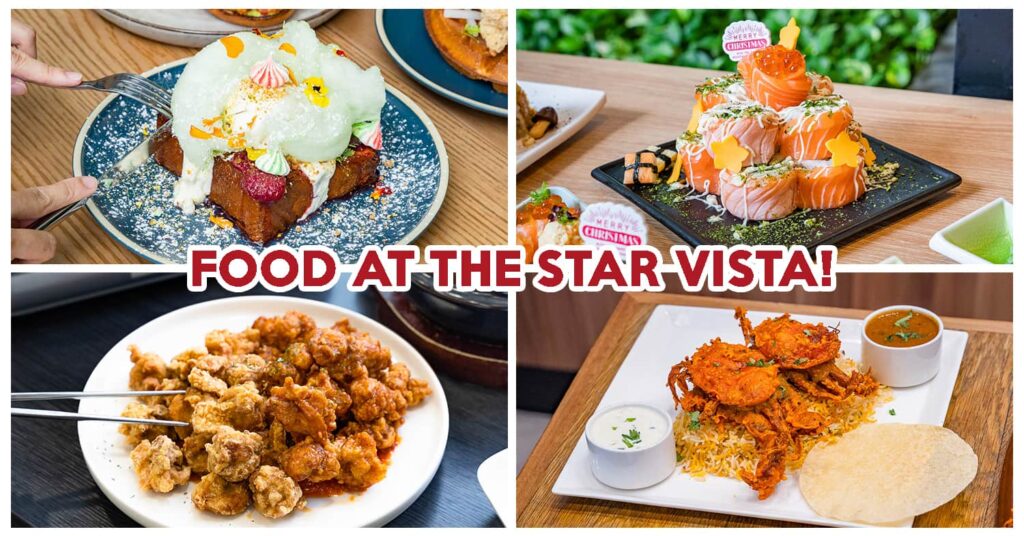 the star vista - feature image