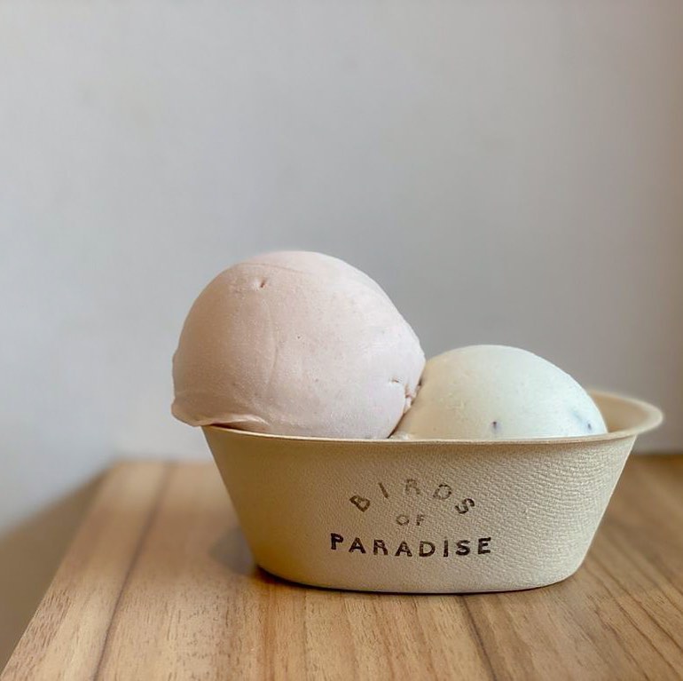 Birds of Paradise Double Scoop