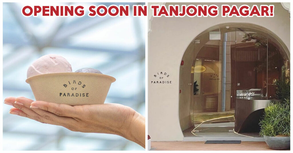 Collage_Birds of Paradise Craig Road cover