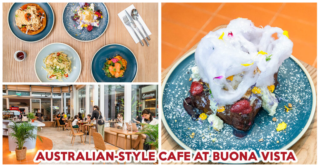 DEWGATHER STAR VISTA REVIEW