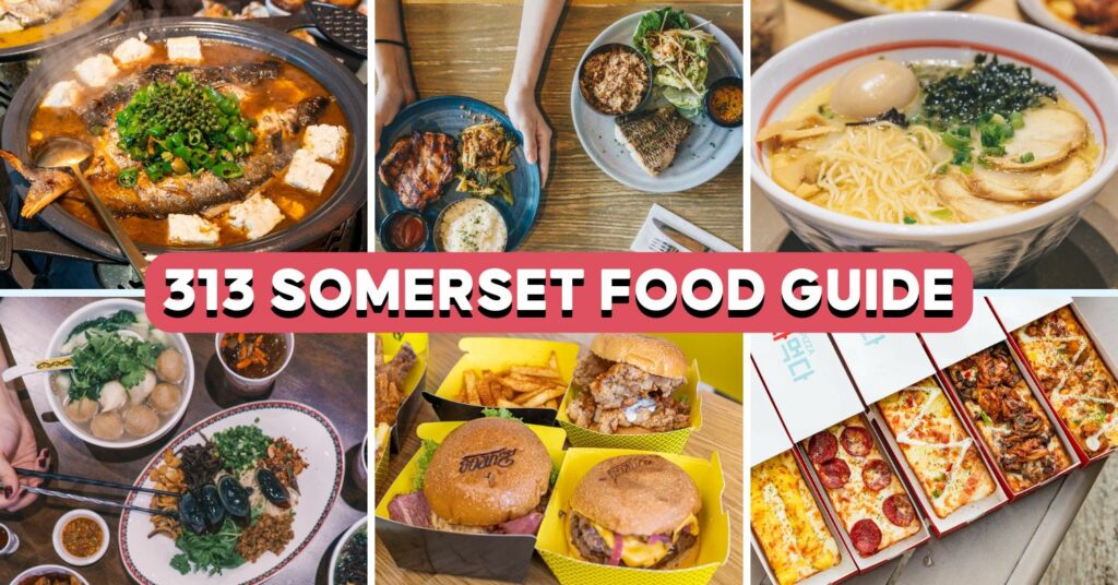 313-somerset-coerimg