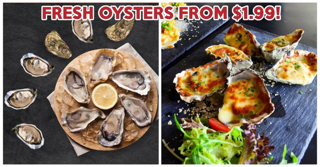 Get 1.99 Oysters At Oyster Co’s New Outlet In VivoCity Online Social