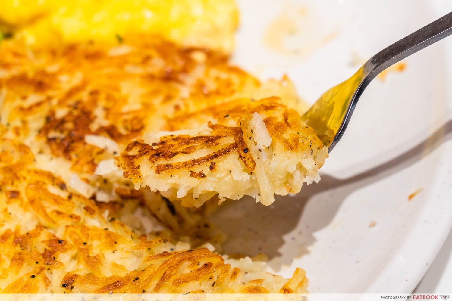 Qi Xiang Hotpot rosti plate detail