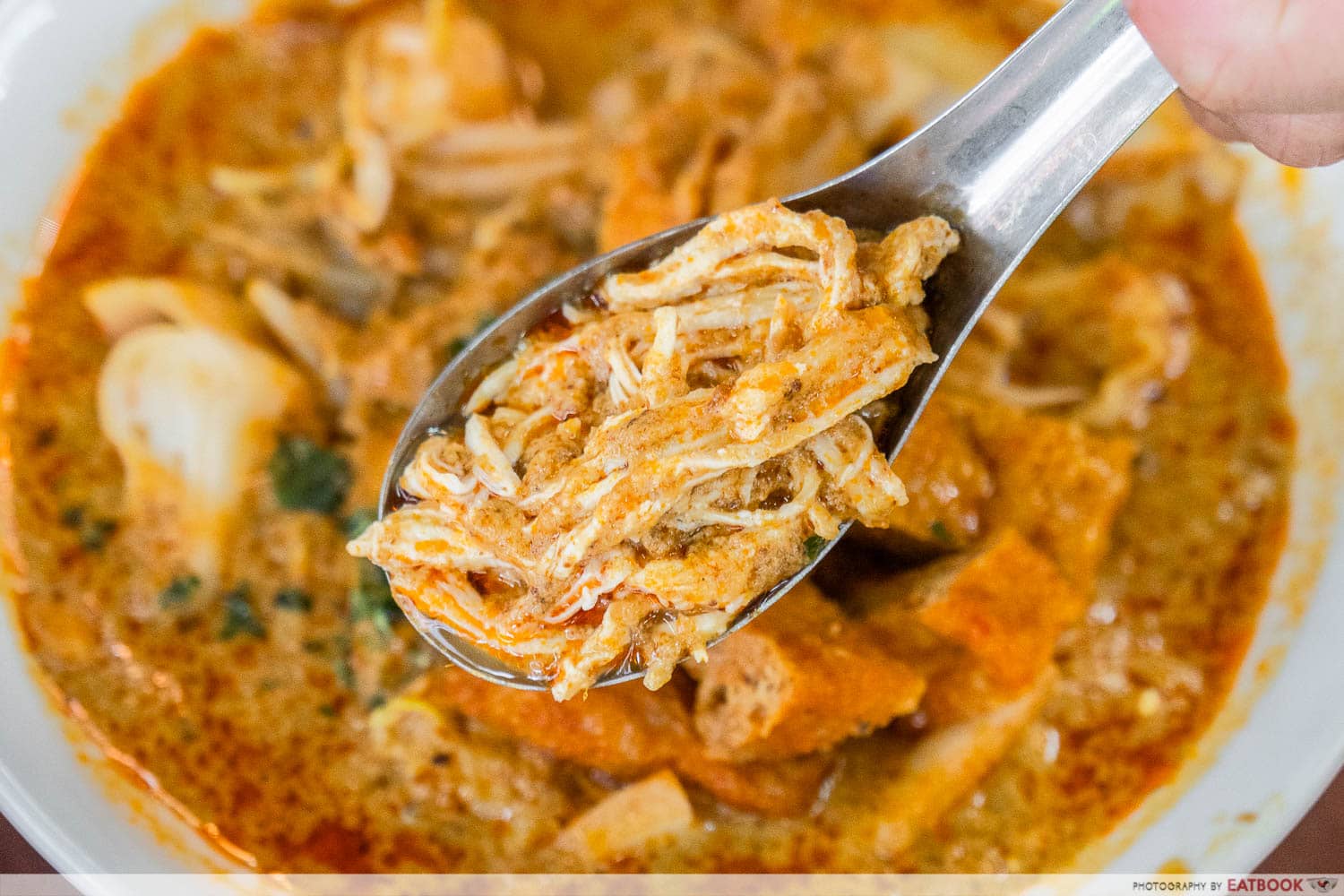 Shredded Chicken