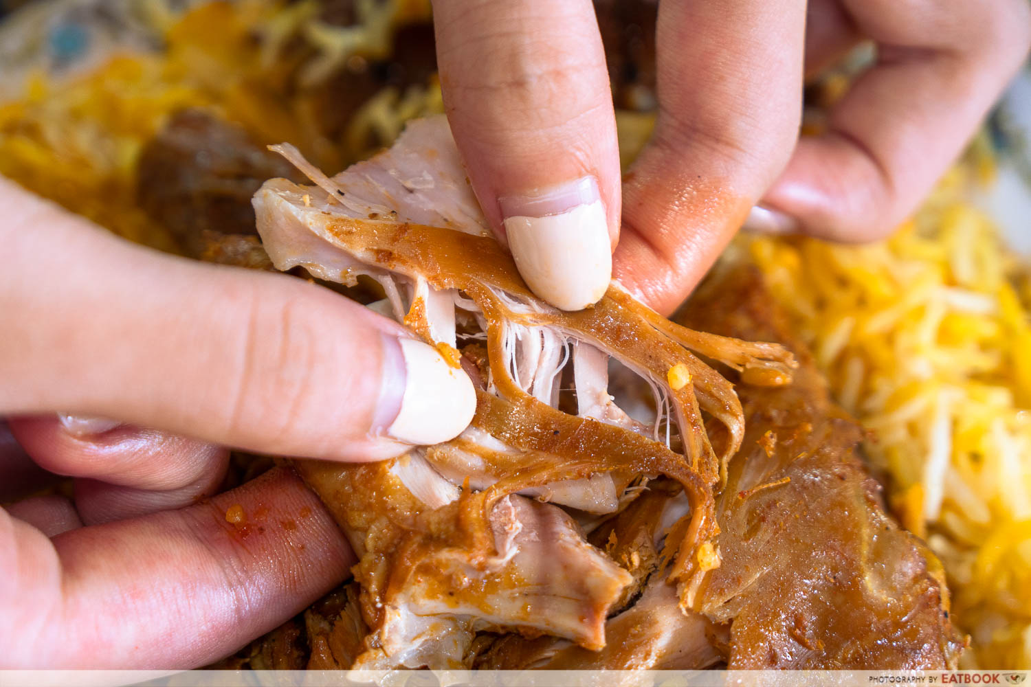 geylang hamid's briyani - chicken interaction