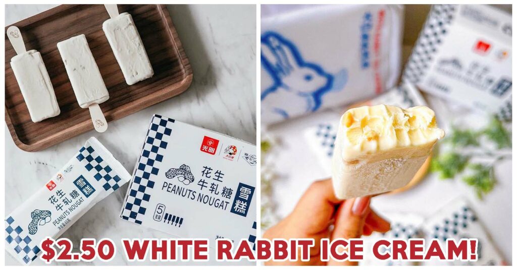 white rabbit feature image