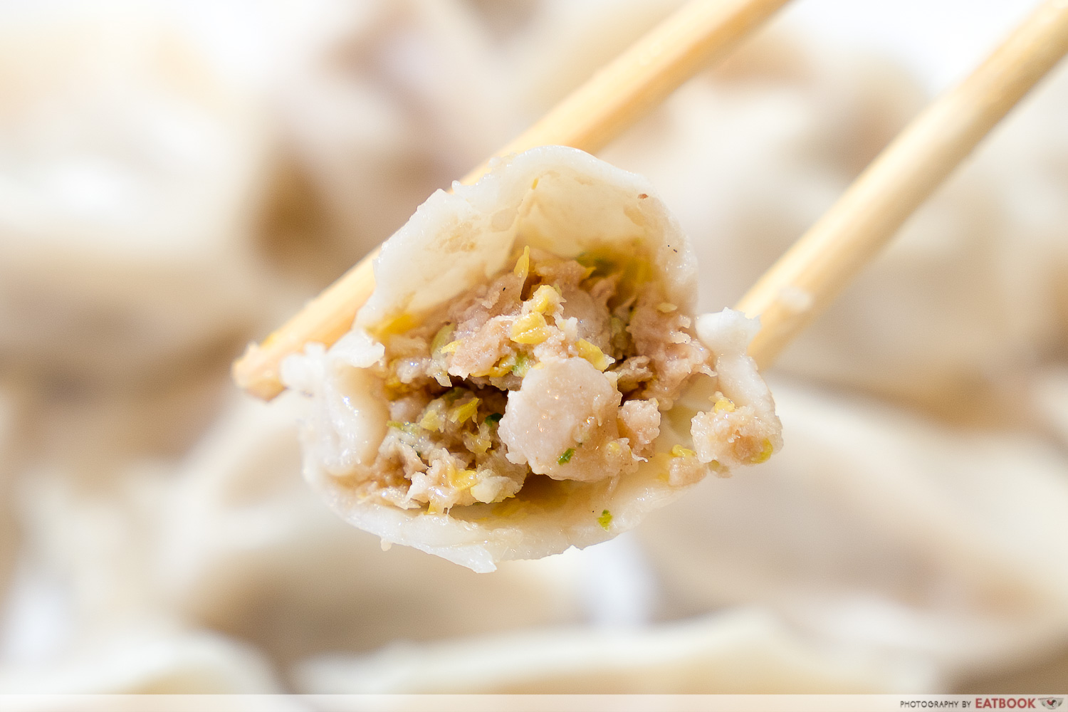 a9 noodle dumplings cabbage pork dumplings cross section
