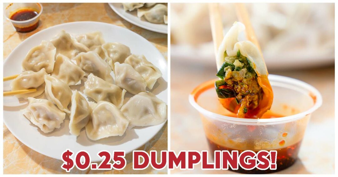 a9 noodle dumplings feature image