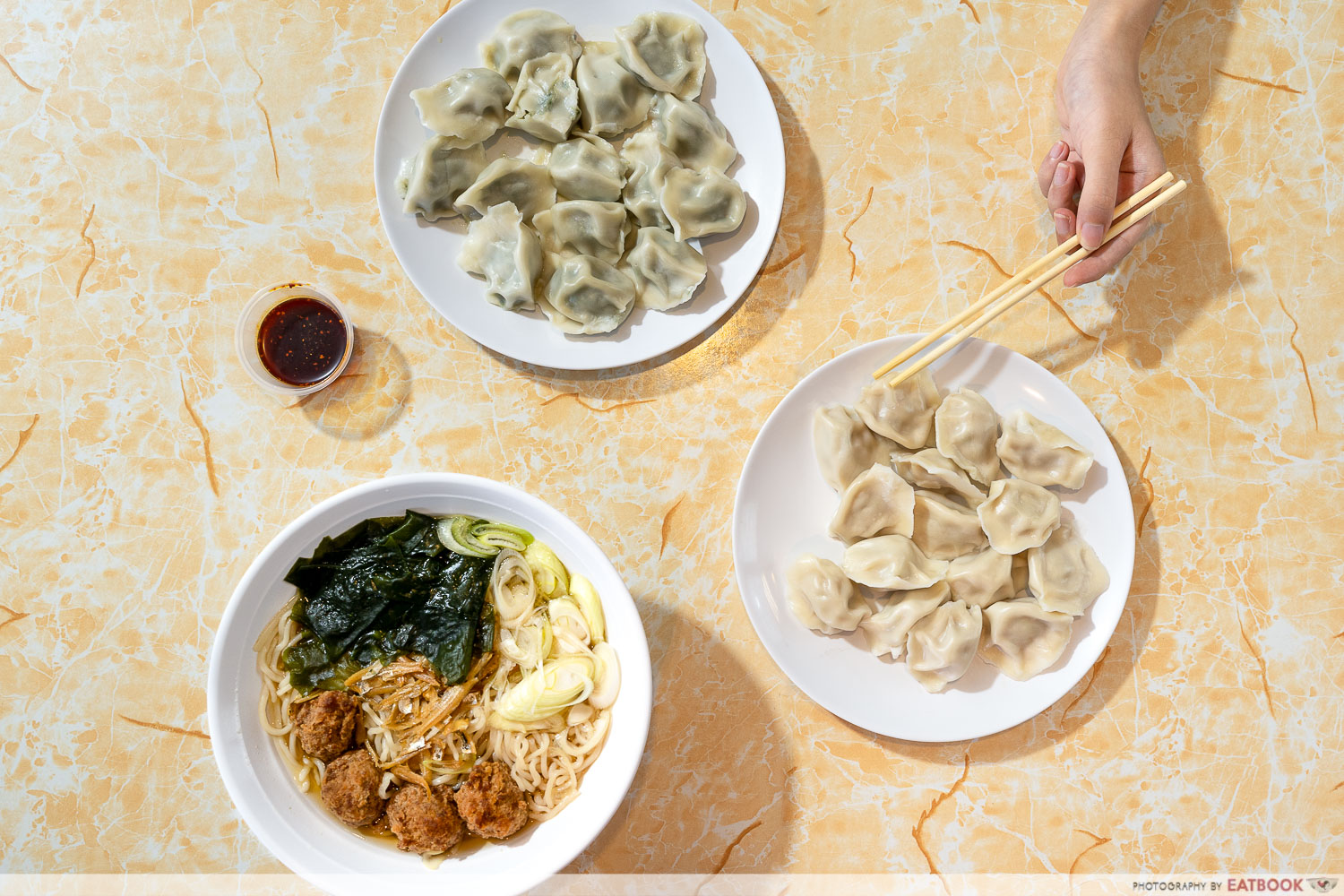 a9 noodle dumplings flatlay