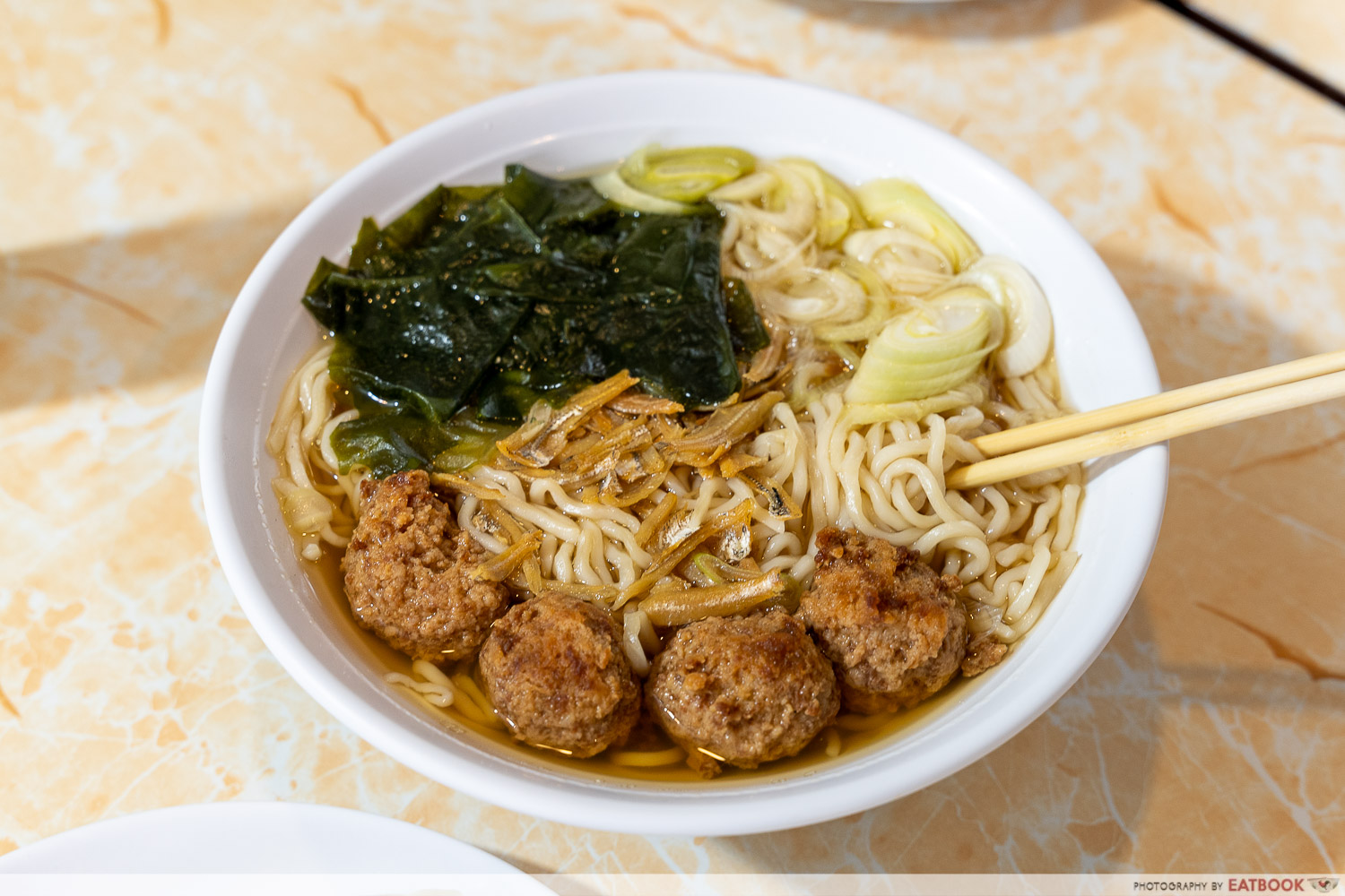 a9 noodle dumplings pork meatball noodle intro shot