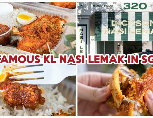 dickson nasi lemak cover