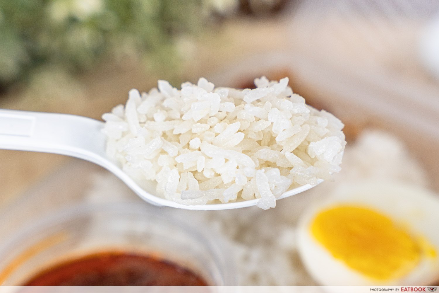 dickson nasi lemak rice