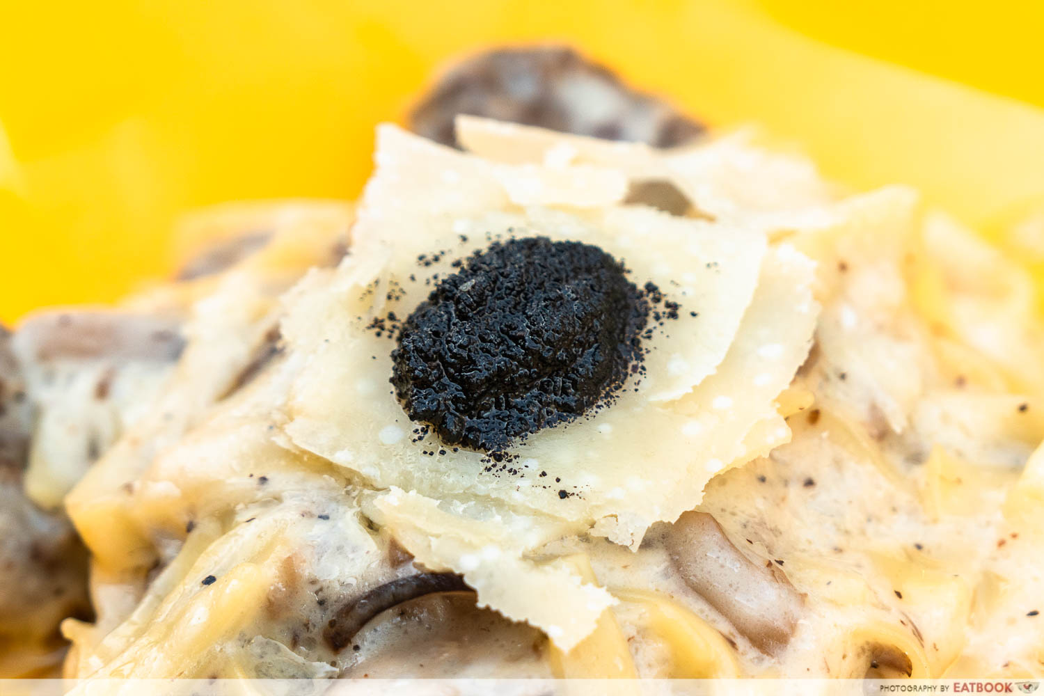 saporita truffle cheesewheel pasta close up shot