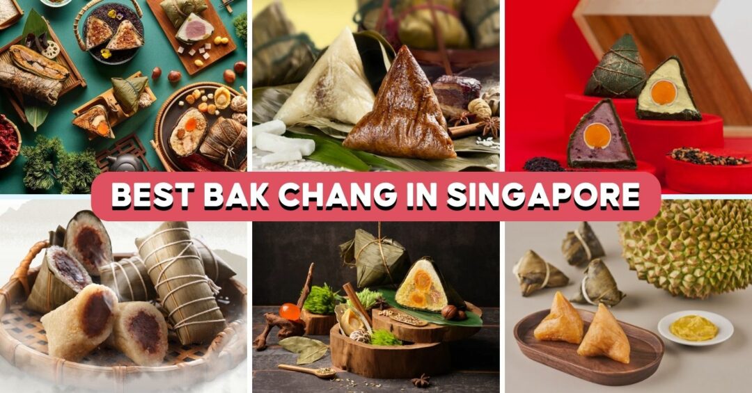 best-bak-chang-singapore