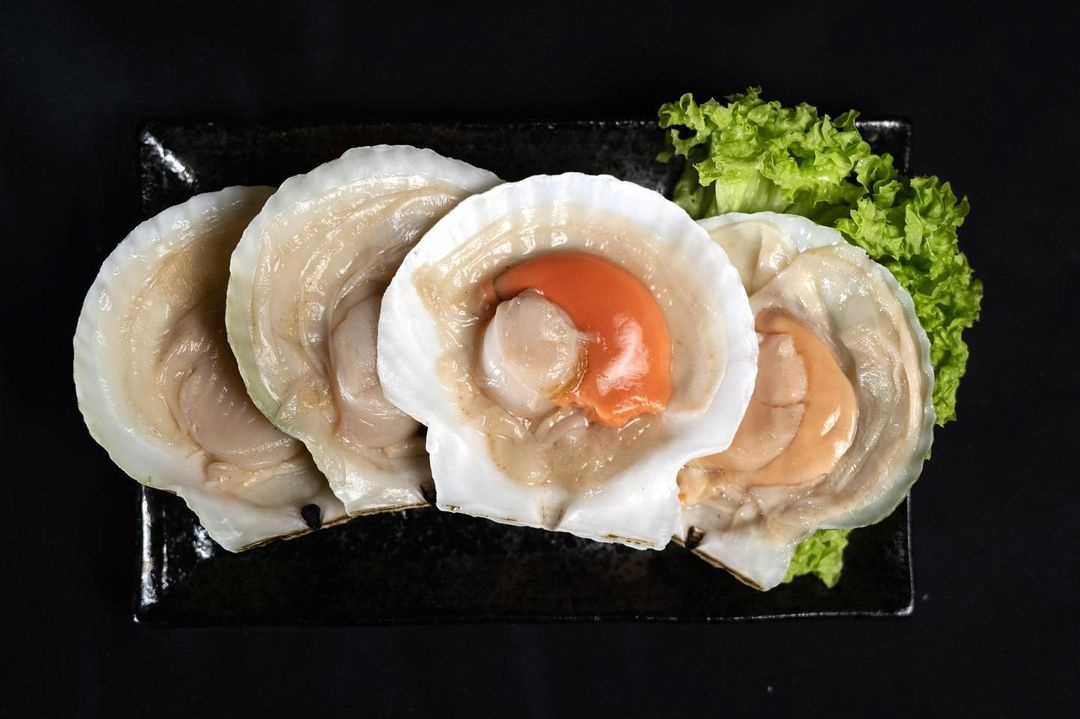 Indonesia Half Shell Scallop