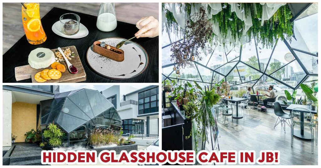 PLANTHERAPY COVER (1)