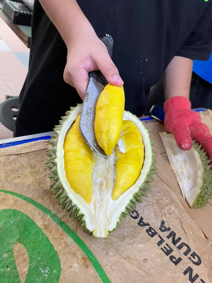 zeng zu fu durian buffet