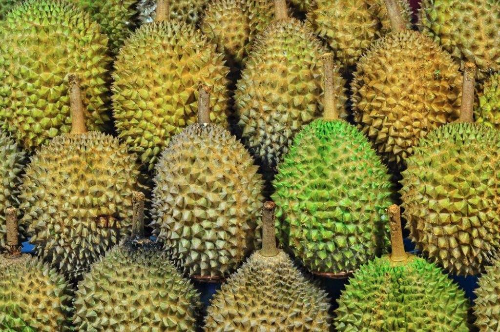 durian buffet jurong point durians