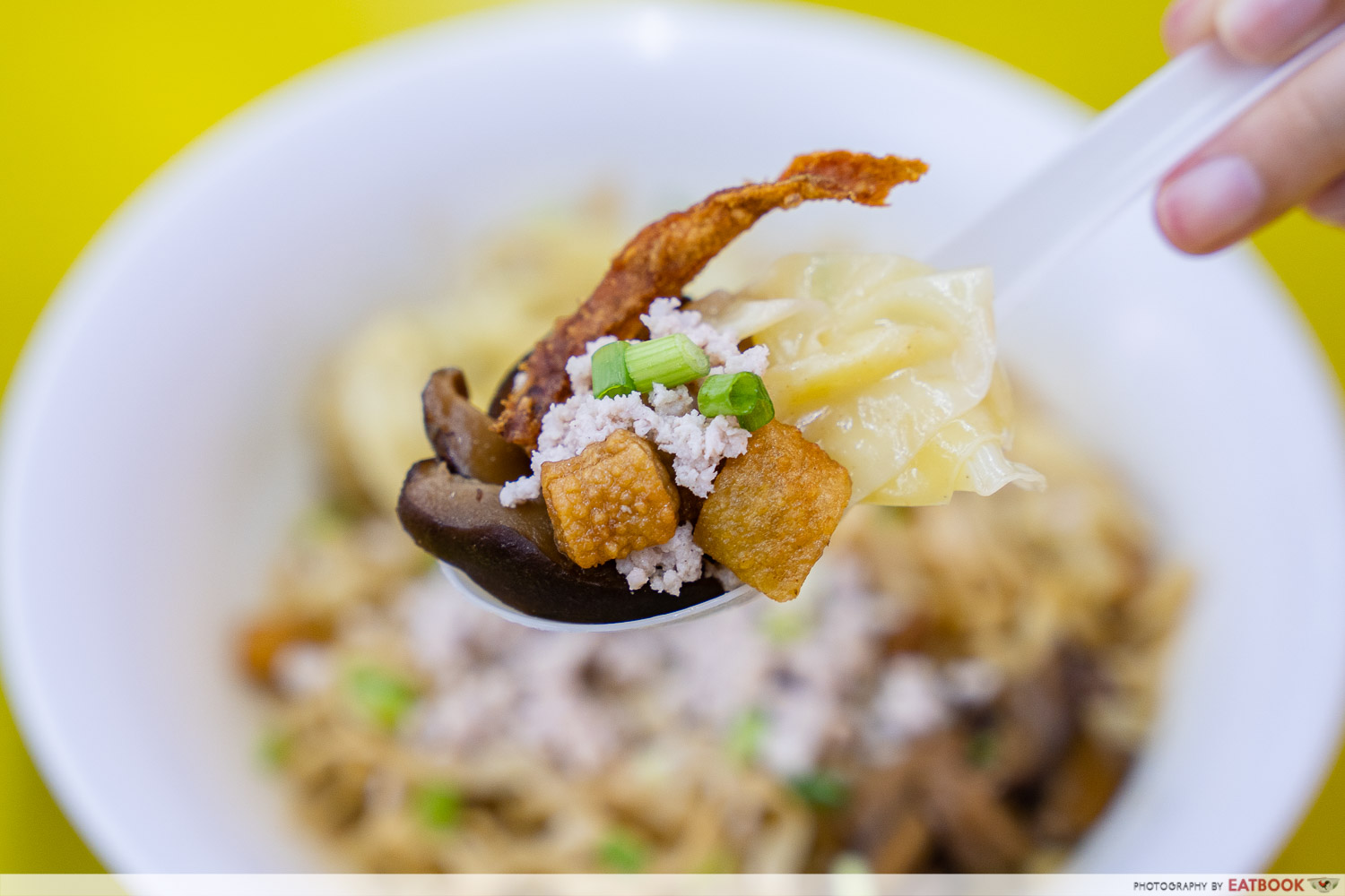 10 best bak chor mee - ah kow mushroom minced pork mee ingredients