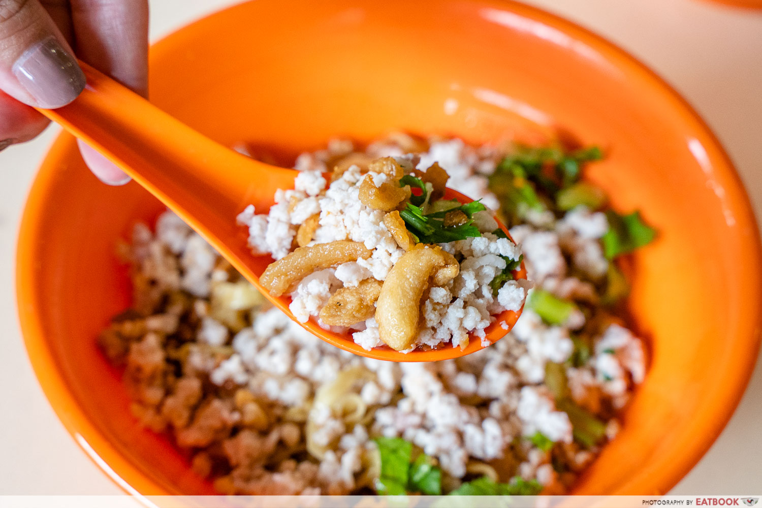 10 best bak chor mee - famous eunos bak chor mee ingredients