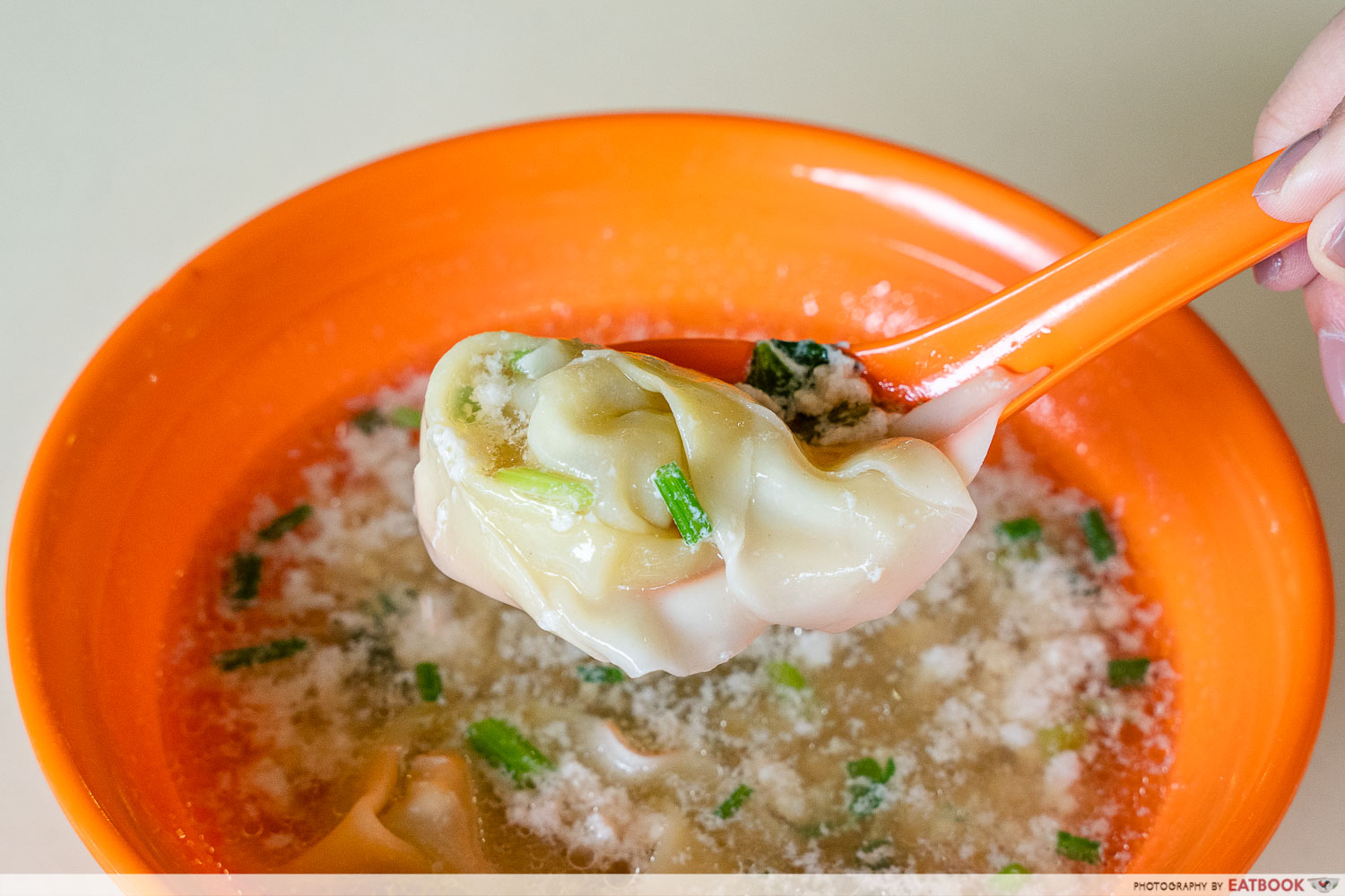 10 best bak chor mee - famous eunos bak chor mee wonton