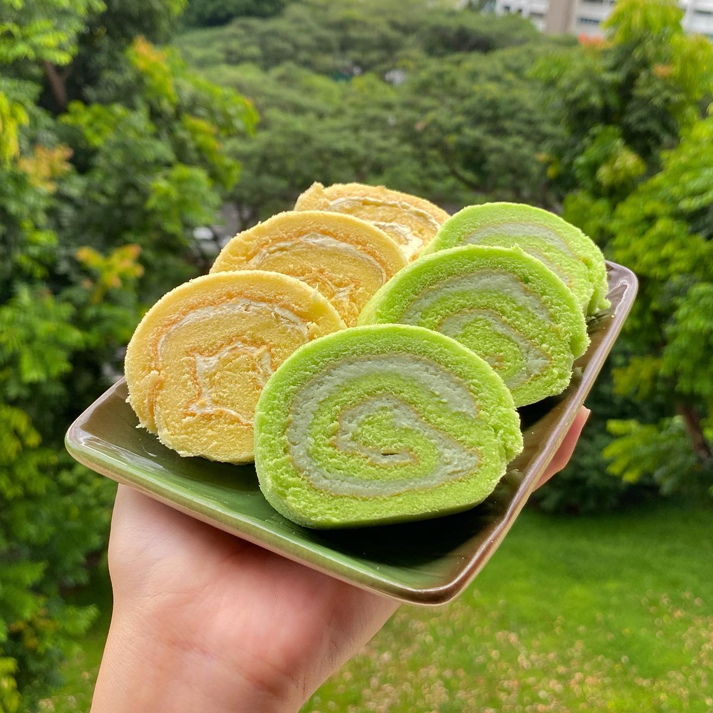 rich-and-good-cake-shop-swiss-rolls-interaction