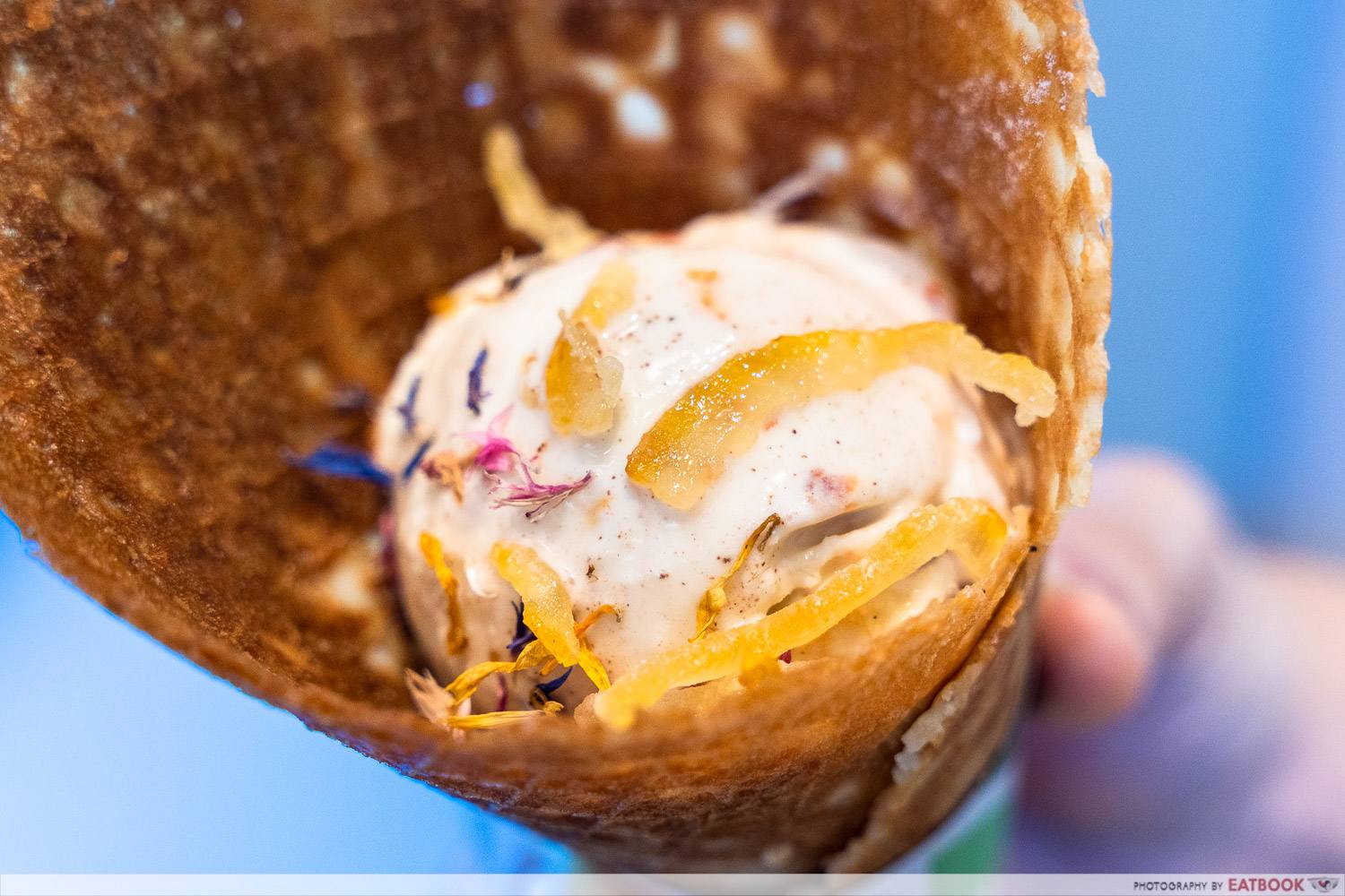 vanda botanical desserts gelato closeup