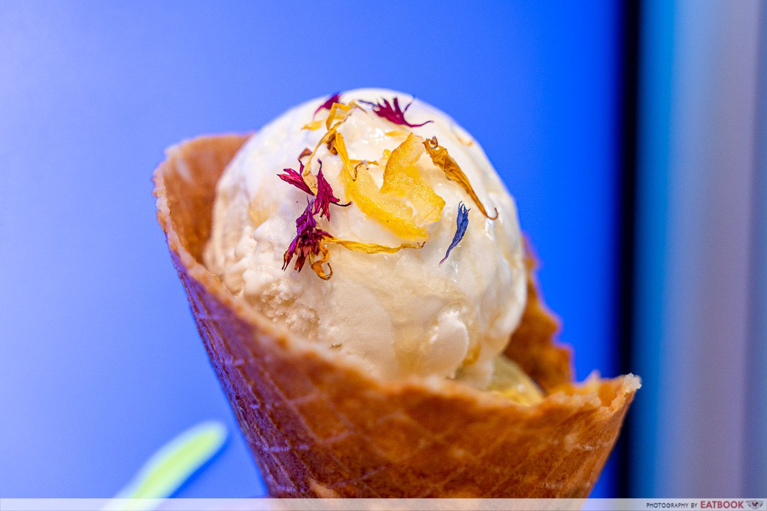 vanda botanical desserts gelato cone