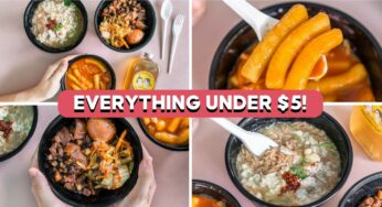 NiuNiu Tea & DuDu Rice Review: Legit Lu Rou Fan And Handmade Tteokbokki From $3.30 In Whampoa