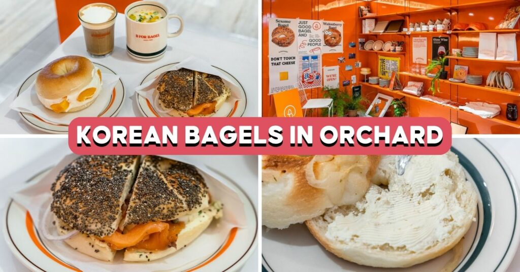 b-for-bagel-feature-image