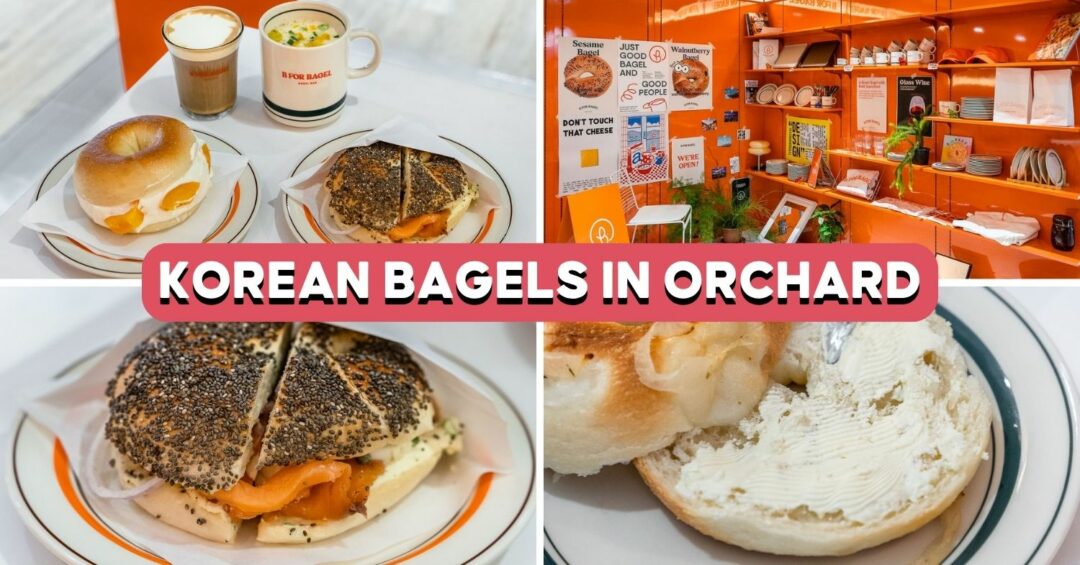 b-for-bagel-feature-image