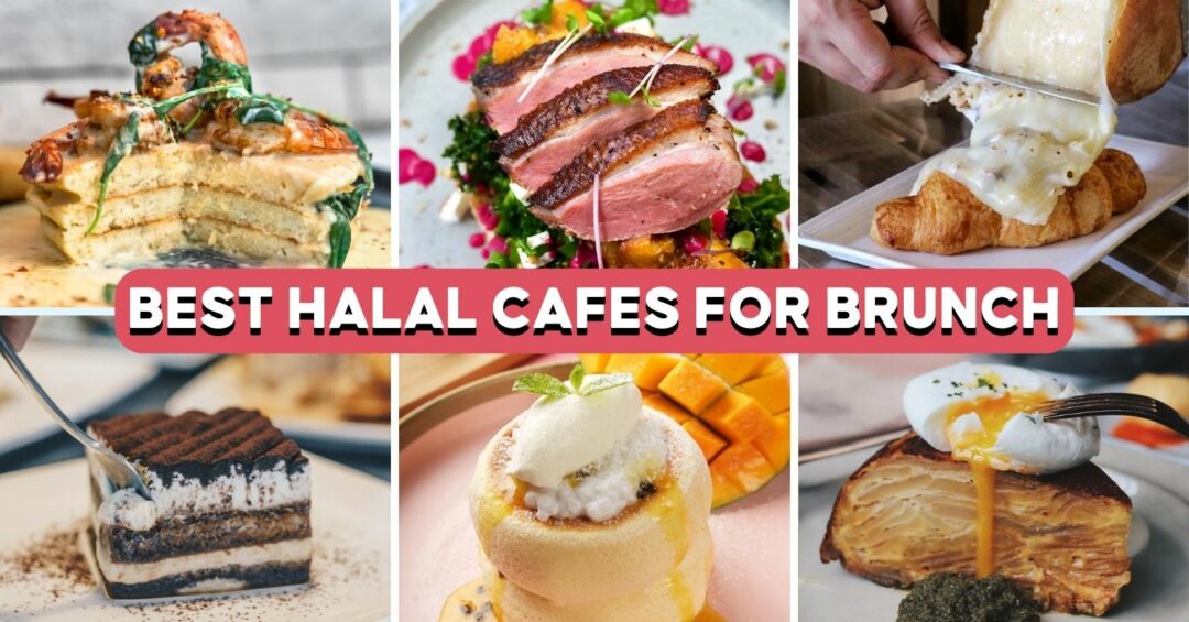 halal-cafes-feature-image (1)