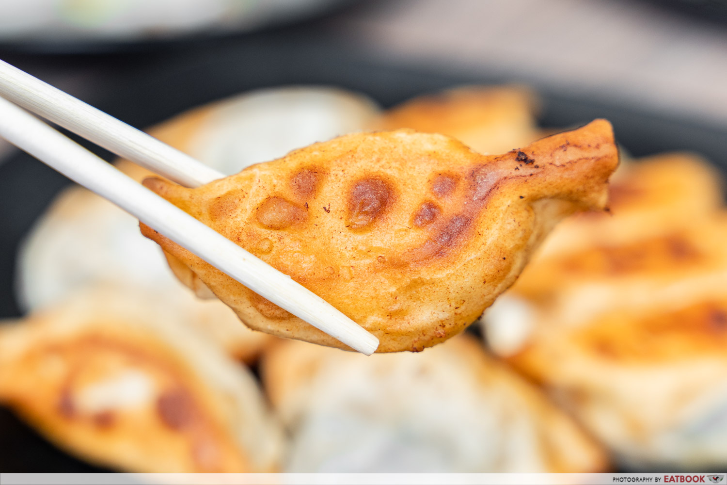 tian jin fong kee - fried dumplings close-up