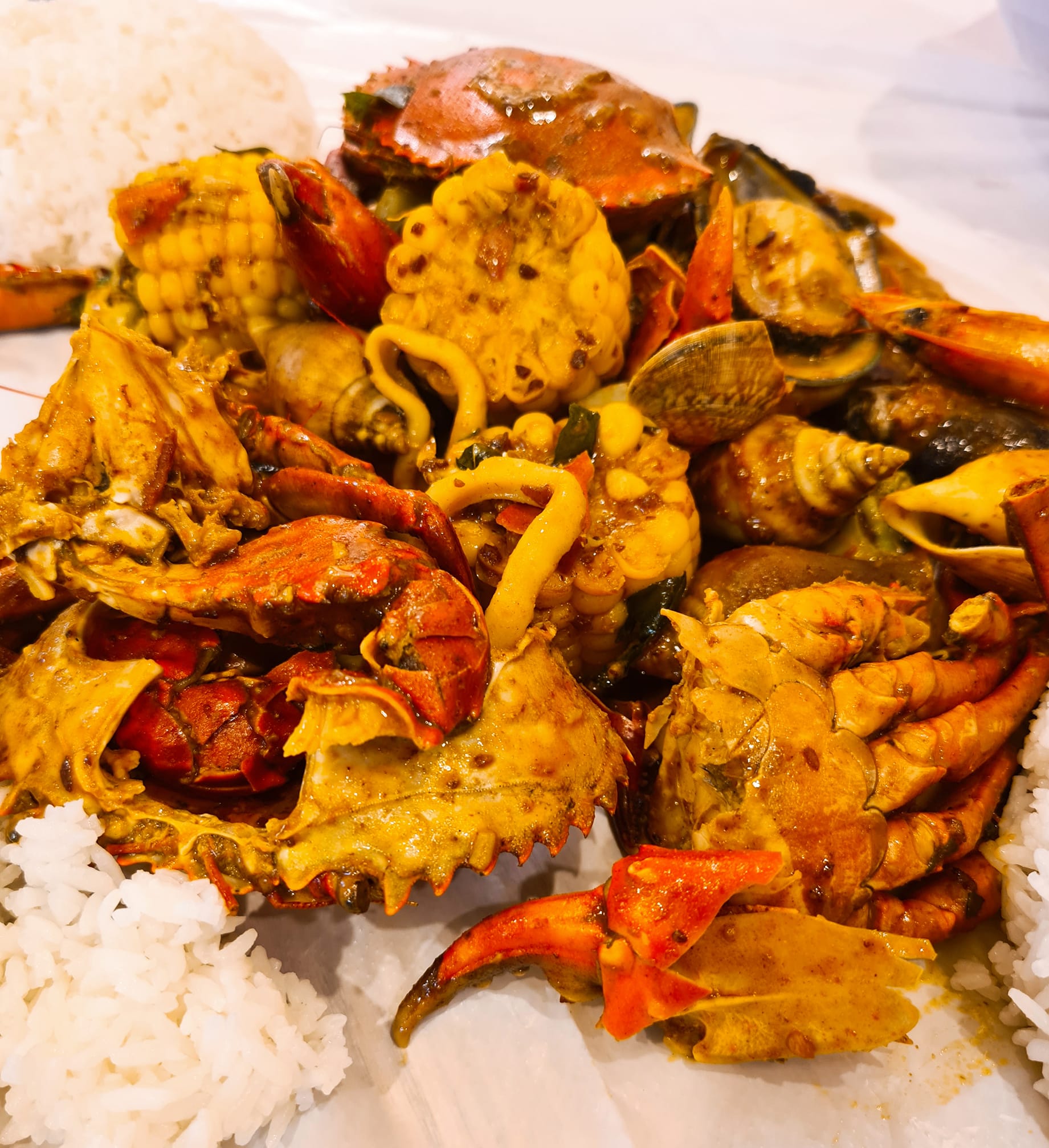 al-majlis-shellout-dry-curry