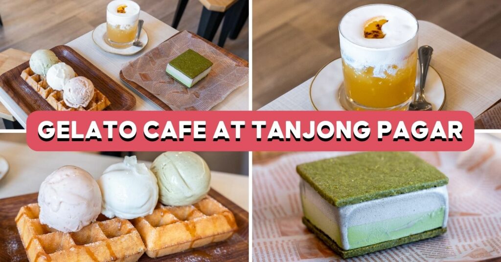 cotta-feature-image-1