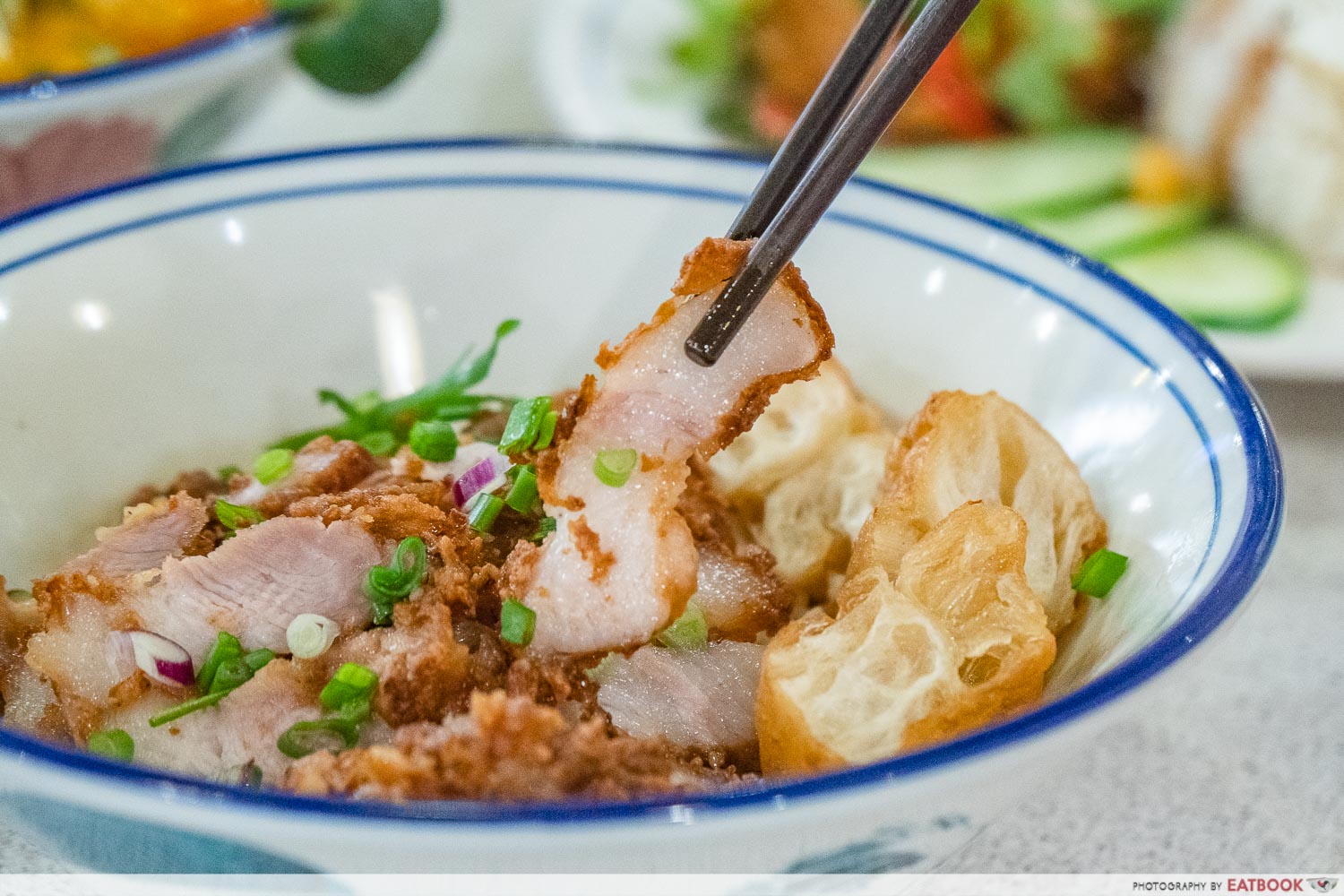 Ah Yen Traditional Fried Pork - sandakan fried pork closeup