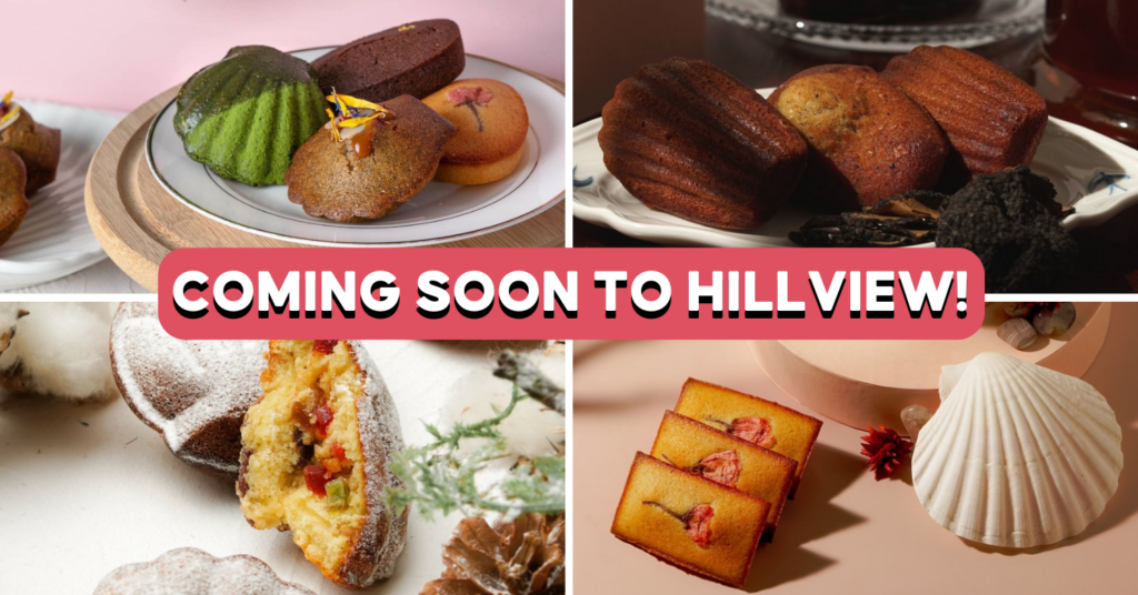 she-sells-seashells-feature-image