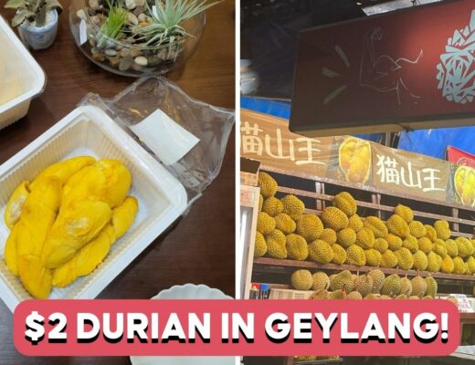 durian culture - cover